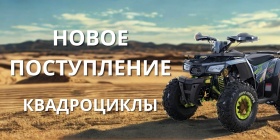 Новое поступление квадроциклов